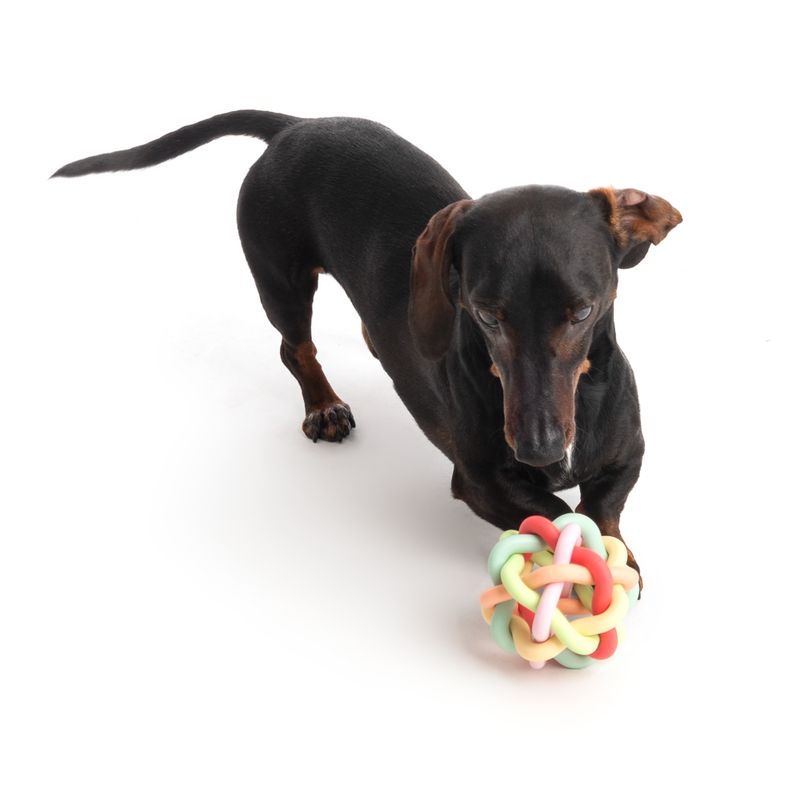 TIAKI Rainbow Ball TPR Dog Toy 10.5cm (Diameter)