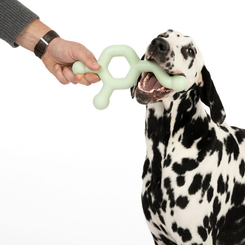 Nomad Tales Bloom Dog Toy Molecule L 25.5 x H 16 x W 3.5 cm