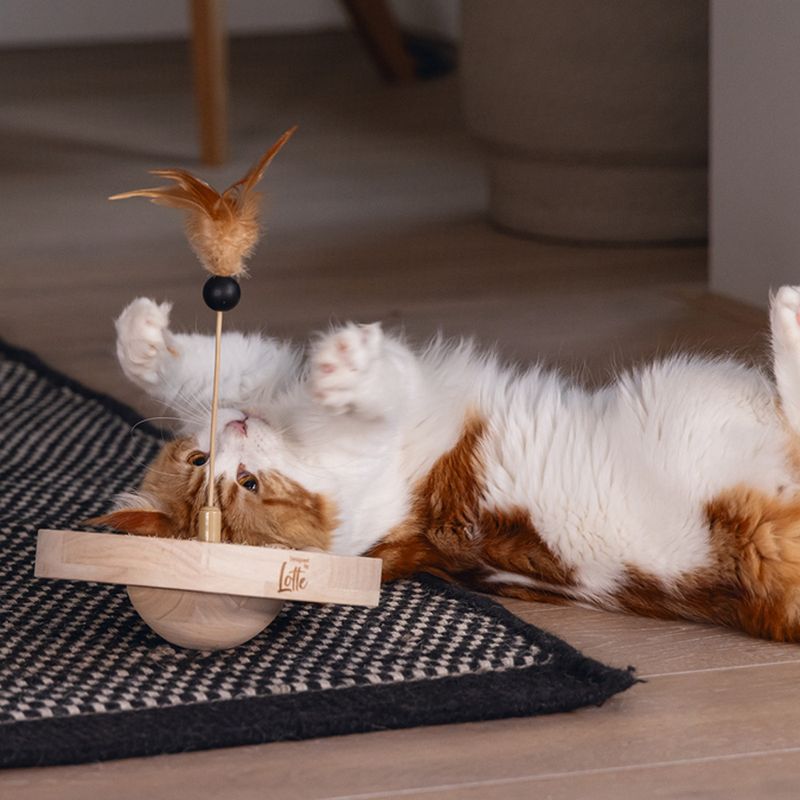 Designed by Lotte Winni Wooden Cat Toy 22 x 30cm (diameter x H)