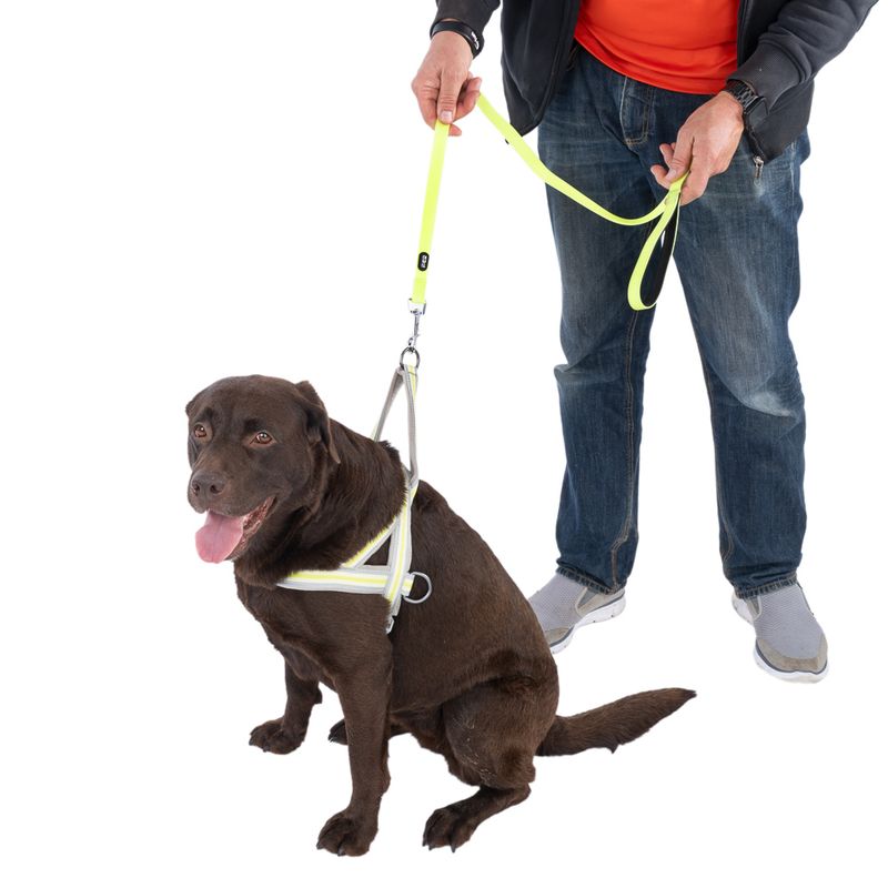 TIAKI Glow in the Dark Lead 120cm x 20mm (L x W)