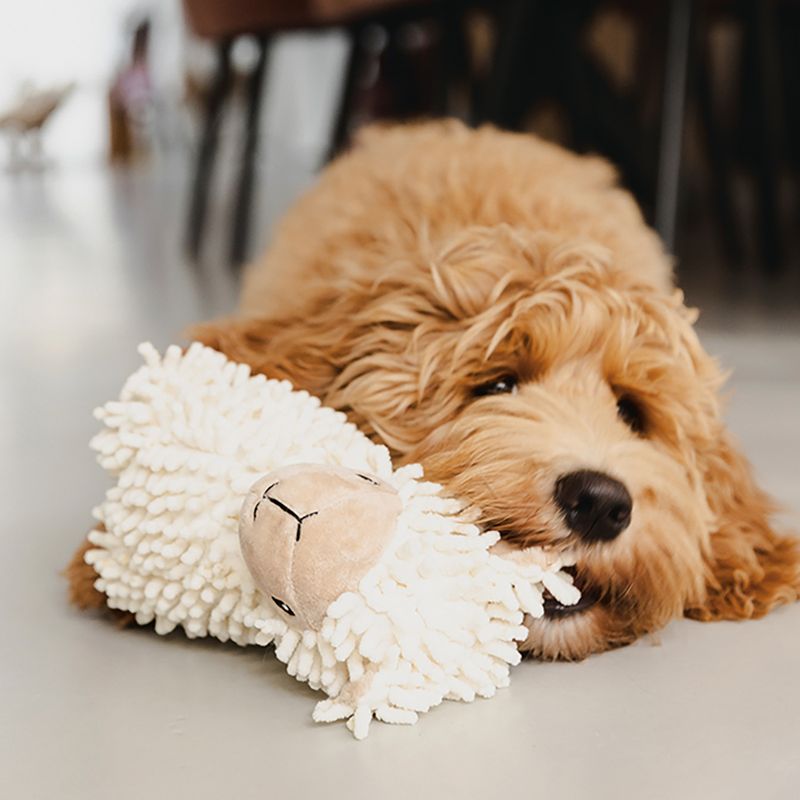Beeztees ECO Dog Toy Sheep Jovi 26 x 6 x 21cm (L x W x H)