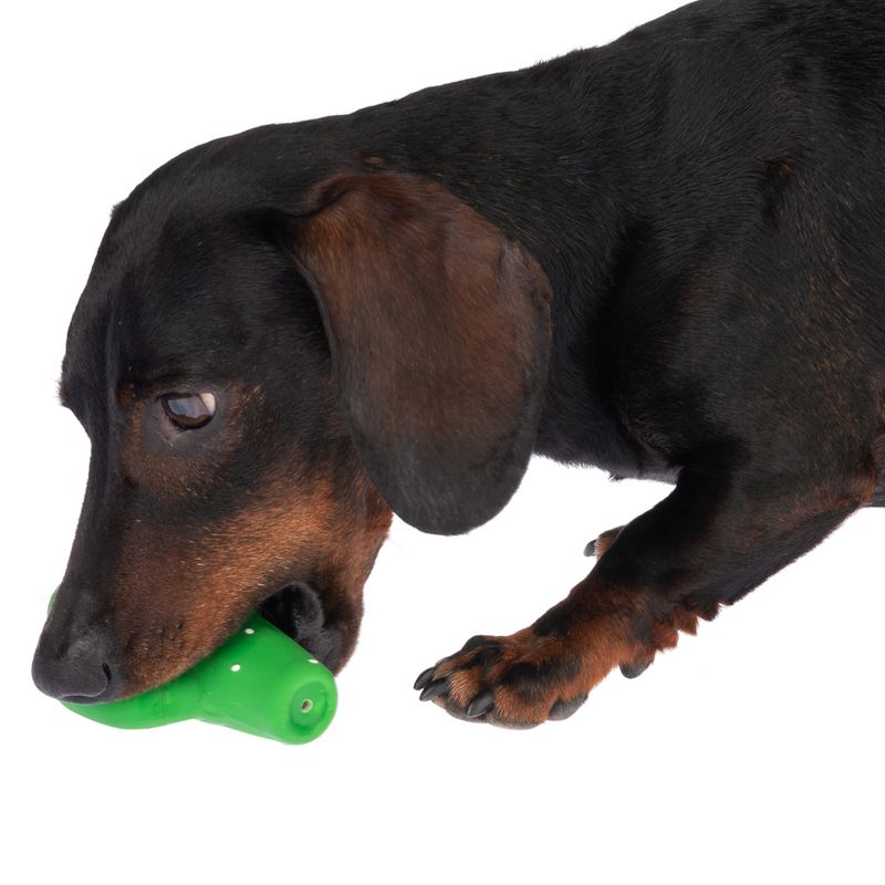 TIAKI Latex Cactus Dog Toy 11.5 x 9.5 x 3cm (L x W x H)