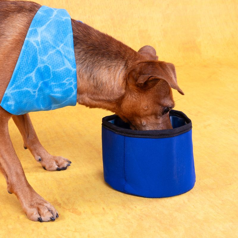 Flamingo Fresk Cooling Drinking Bowl - Blue 16 x 10cm (diameter x H)