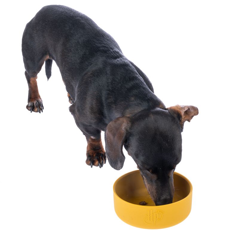 Warner Bros™ Harry Potter Silicone Bowl 580ml, diameter 14cm