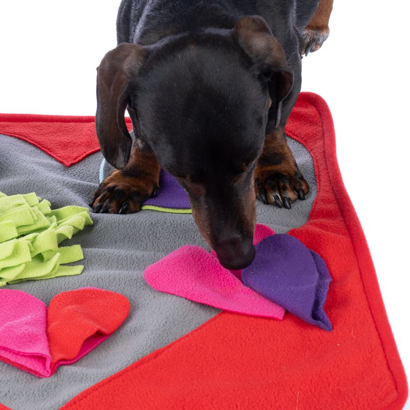 TIAKI Heart Sniffing Mat 50 x 50 cm (L x W)