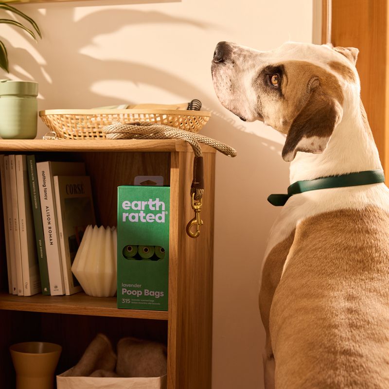 Earth Rated Dog Waste Bag Rolls 8 rolls of 15 bags, lavender (120 bags)