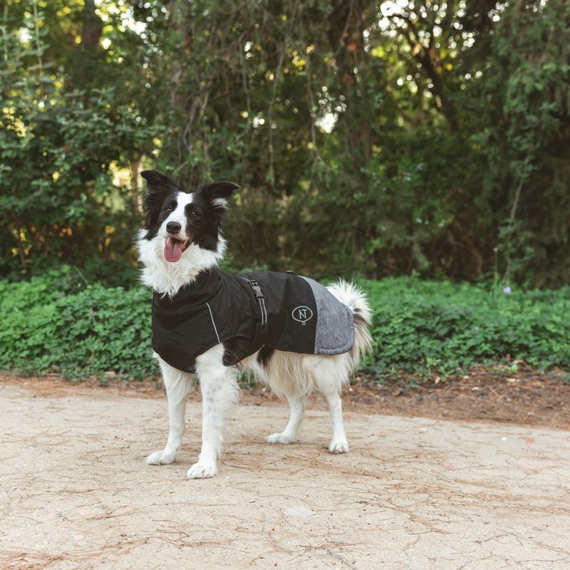 Nomad Tales Bloom Dog Coat - Black approx. 30cm Back Length