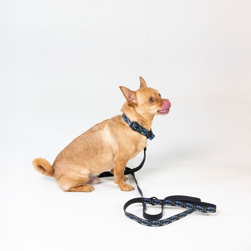 DC Batman Dog Lead 200cm Length, 20mm Width