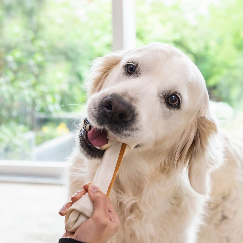 8in1 Delights Bones XS (21 Bones)