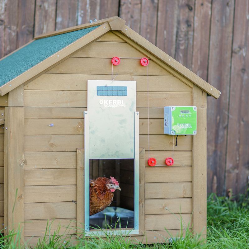 Kerbl Hobbyfarming Automatic Sliding Door for Chicken Coops 40 x 43cm (W x H)