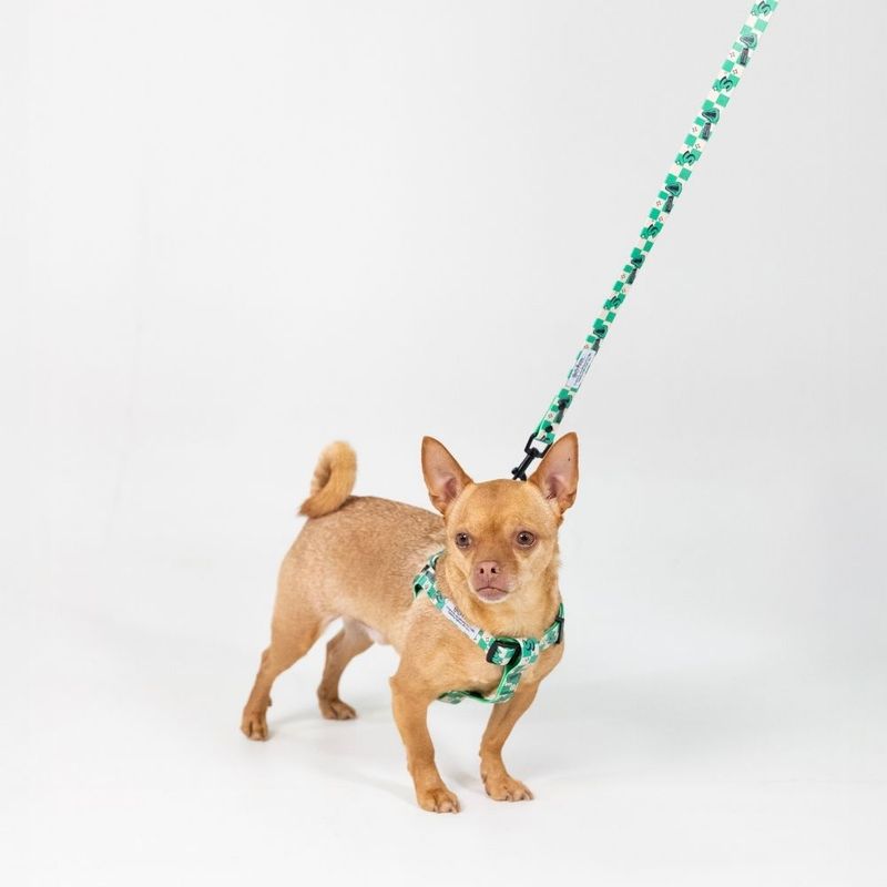 Harry Potter Slytherin Dog Lead 200cm Length, 20mm Width