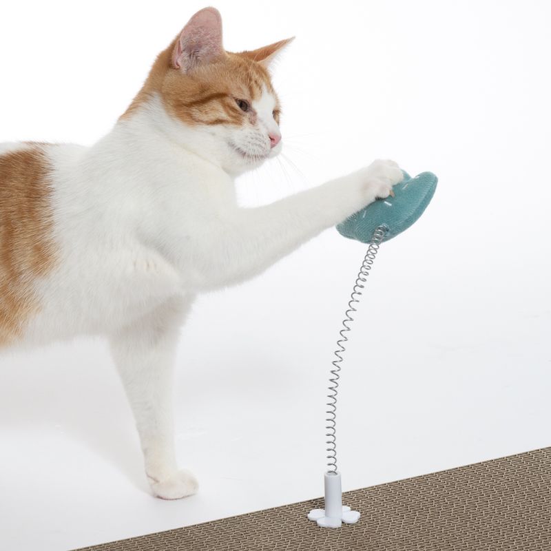 TIAKI Nature Cactus with Spring 1 Toy