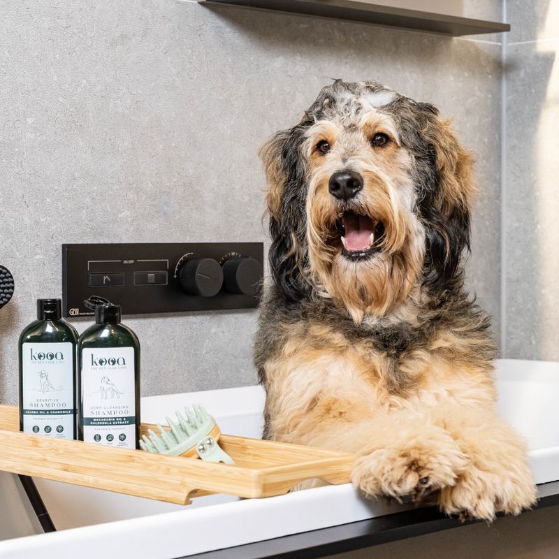 kooa Deep Cleansing Shampoo 300ml