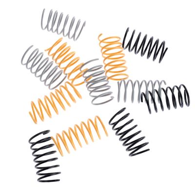 TIAKI Golden Spiral Cat Toy Set 12er Set