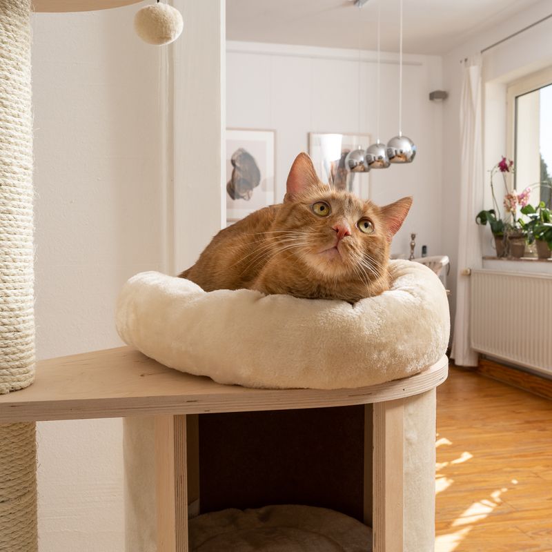 Natural Paradise Cat Tree Magnolia L light grey