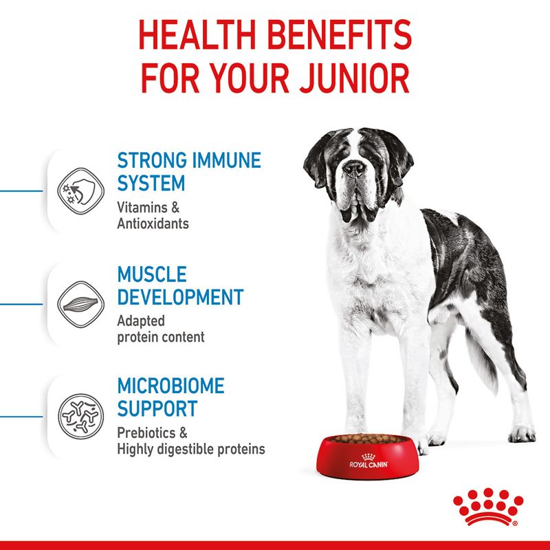 Royal Canin Giant Junior 15kg