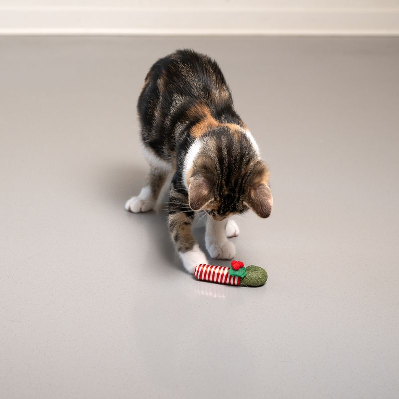 TIAKI Catnip Candy Cane 1 Toy