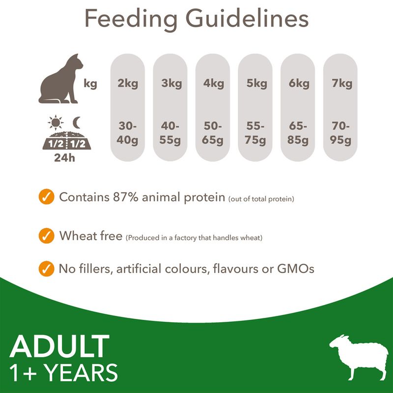 IAMS Advanced Nutrition Adult Cat with Lamb 3kg