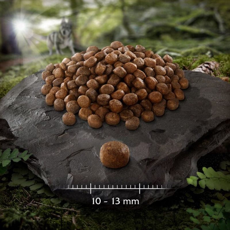 Wolf of Wilderness \