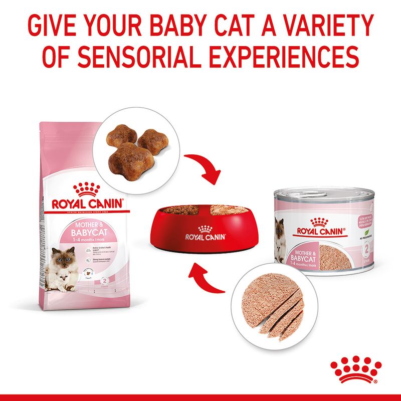 Royal Canin Mother & Babycat Ultra Soft Mousse 12 x 195g