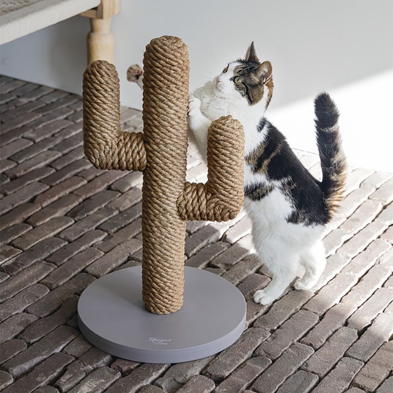 Designed by Lotte Cactus Scratching Post Taupe