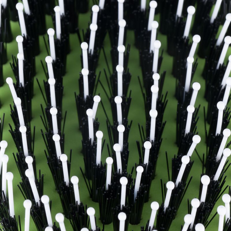 TIAKI Universal Pet Brush 24 x 7 x 4cm (L x W x H)