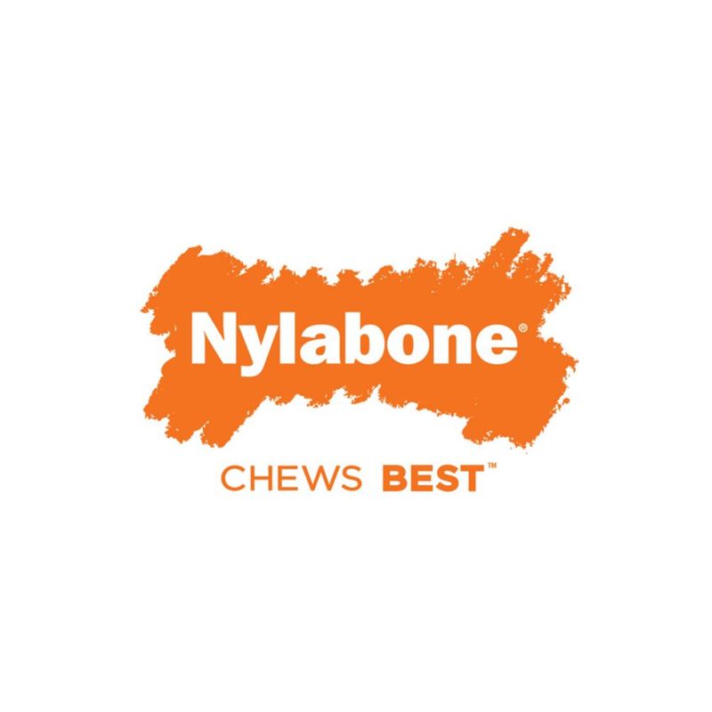 Nylabone DuraChew Monster Bone - Bison Large