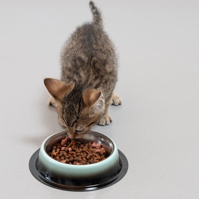 TIAKI Anti-Slip Bowl - Green Shades 250 ml, diameter 15.7 cm