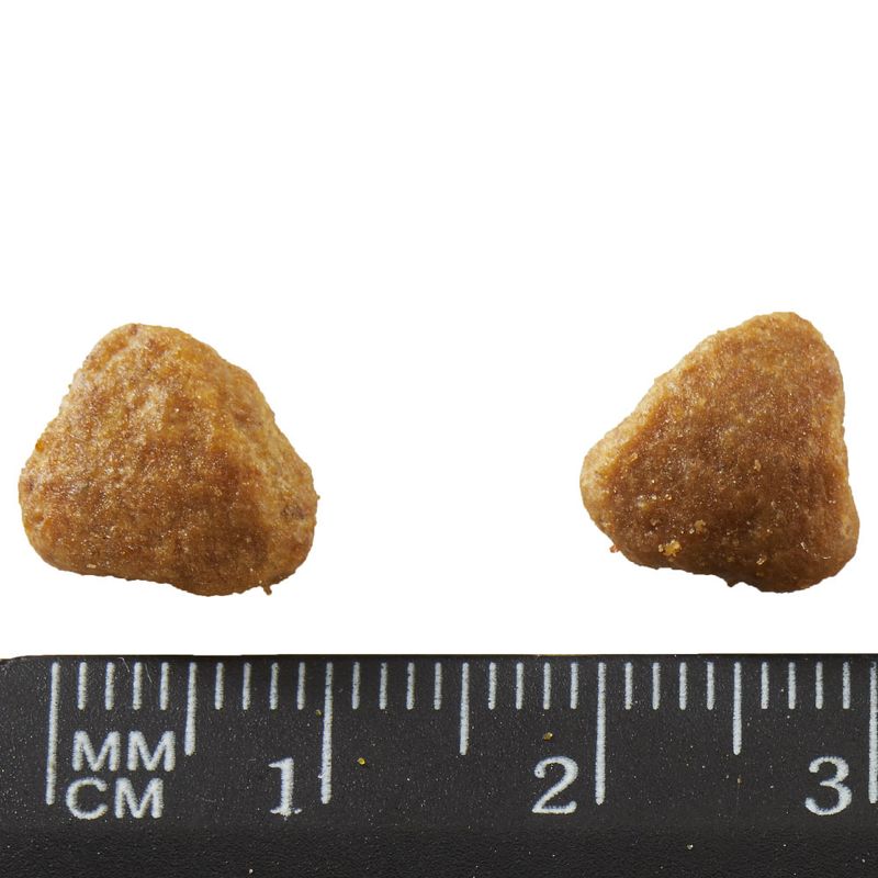 PURINA ONE Sterilised Turkey 2 x 3 kg