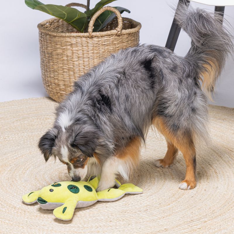 Beeztees Frog Interactive Dog Toy 1 Toy