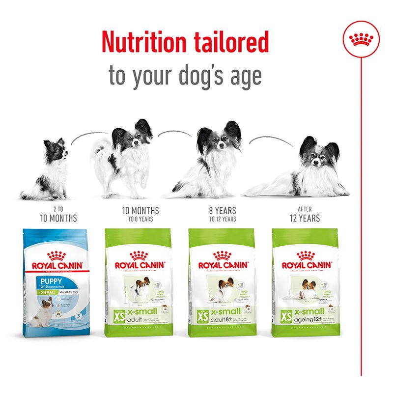 Royal Canin X-Small Adult 8+ 1.5kg