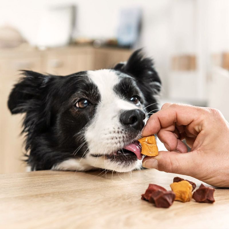 8in1 Flavours Skewer Bites 100g