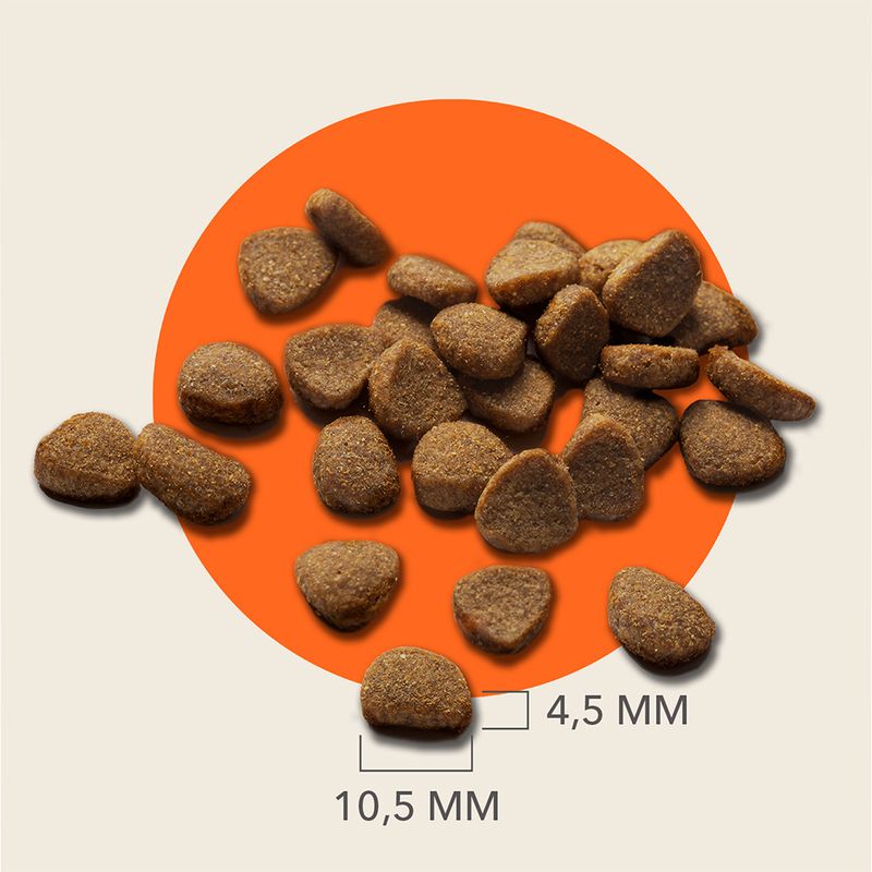 IAMS Advanced Nutrition Grain-Free with Chicken 2.5kg