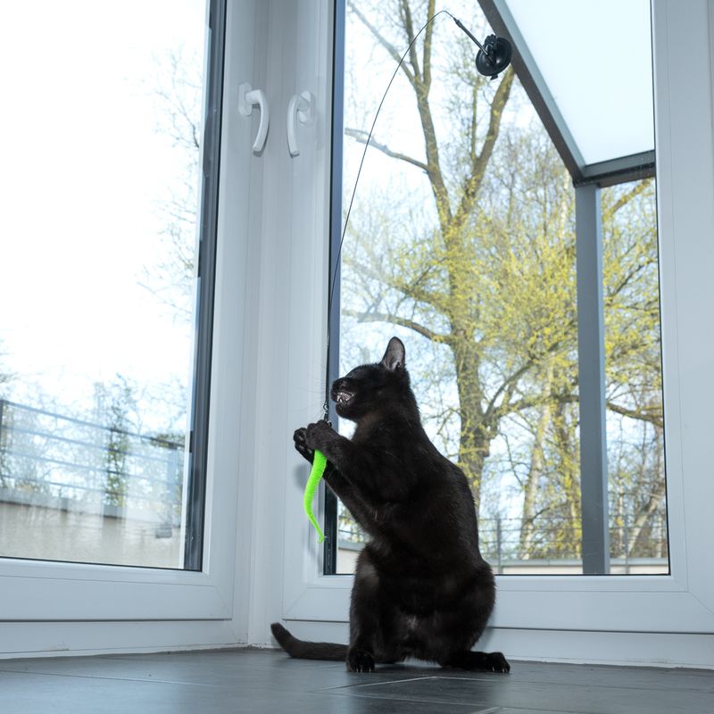 zooplus Basics 4-in-1 Interactive Cat Toy Dangler (95cm), 4 Attachments (each 15cm)