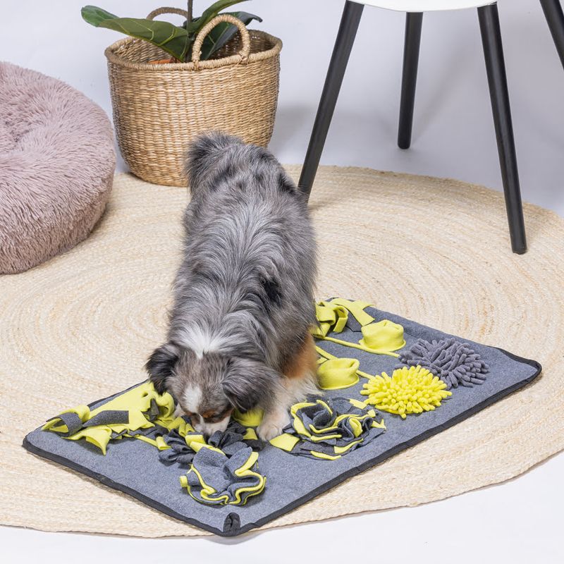 Beeztees Flora Sniff Mat 1 Toy