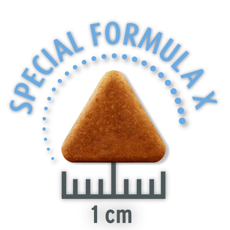 Concept for Life Economy Packs Sterilised Cats - Salmon (2 x 10 kg)