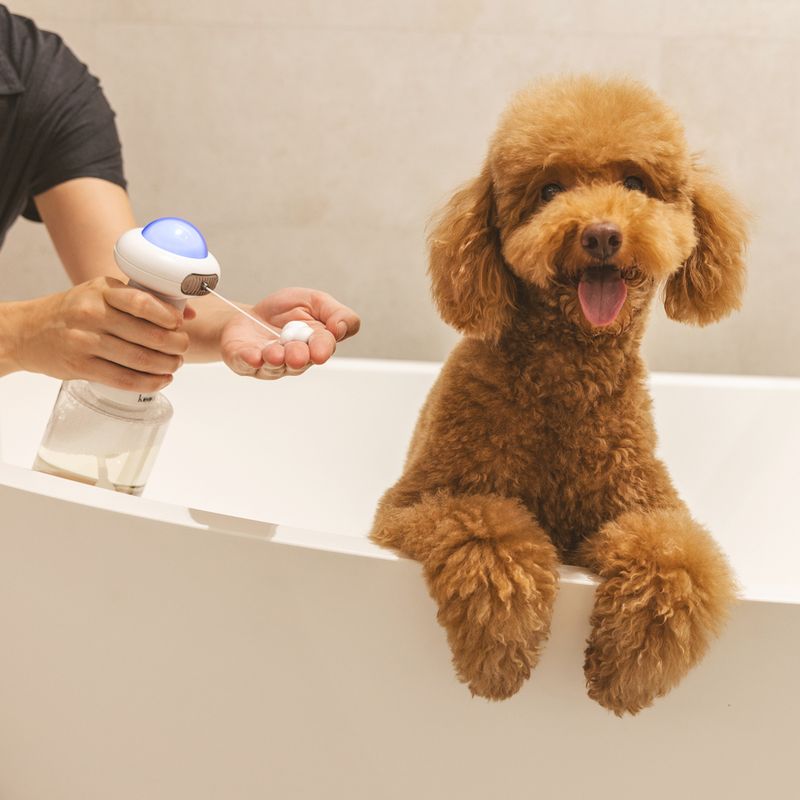 kooa Foam Machine 83 x 22.4cm (diameter x H)