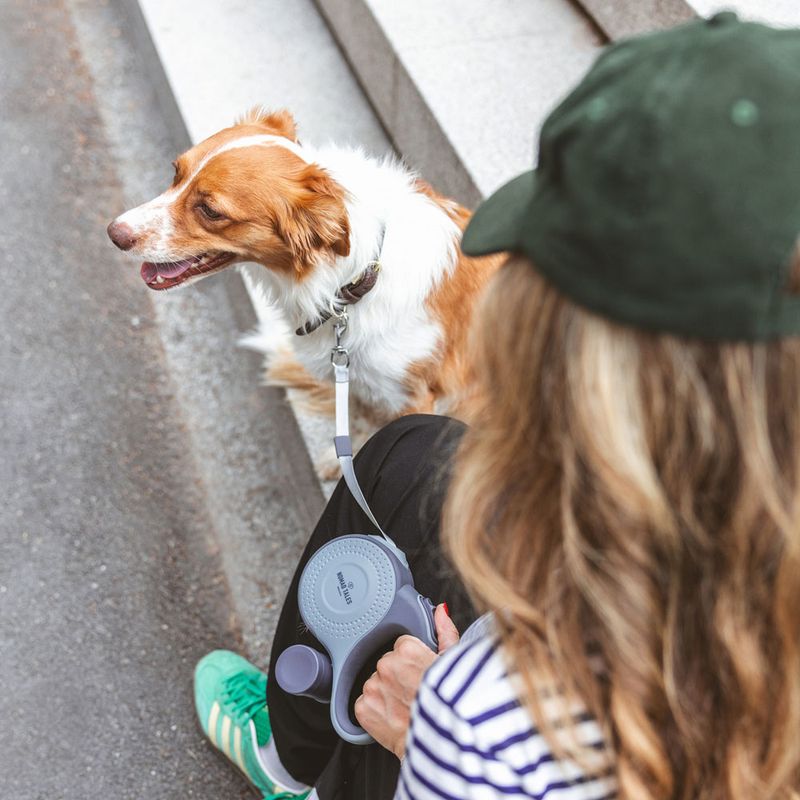 Nomad Tales Calma Retractable Lead Set - 8m 1 Set (Lead, Poo Bag Dispenser & Torch)