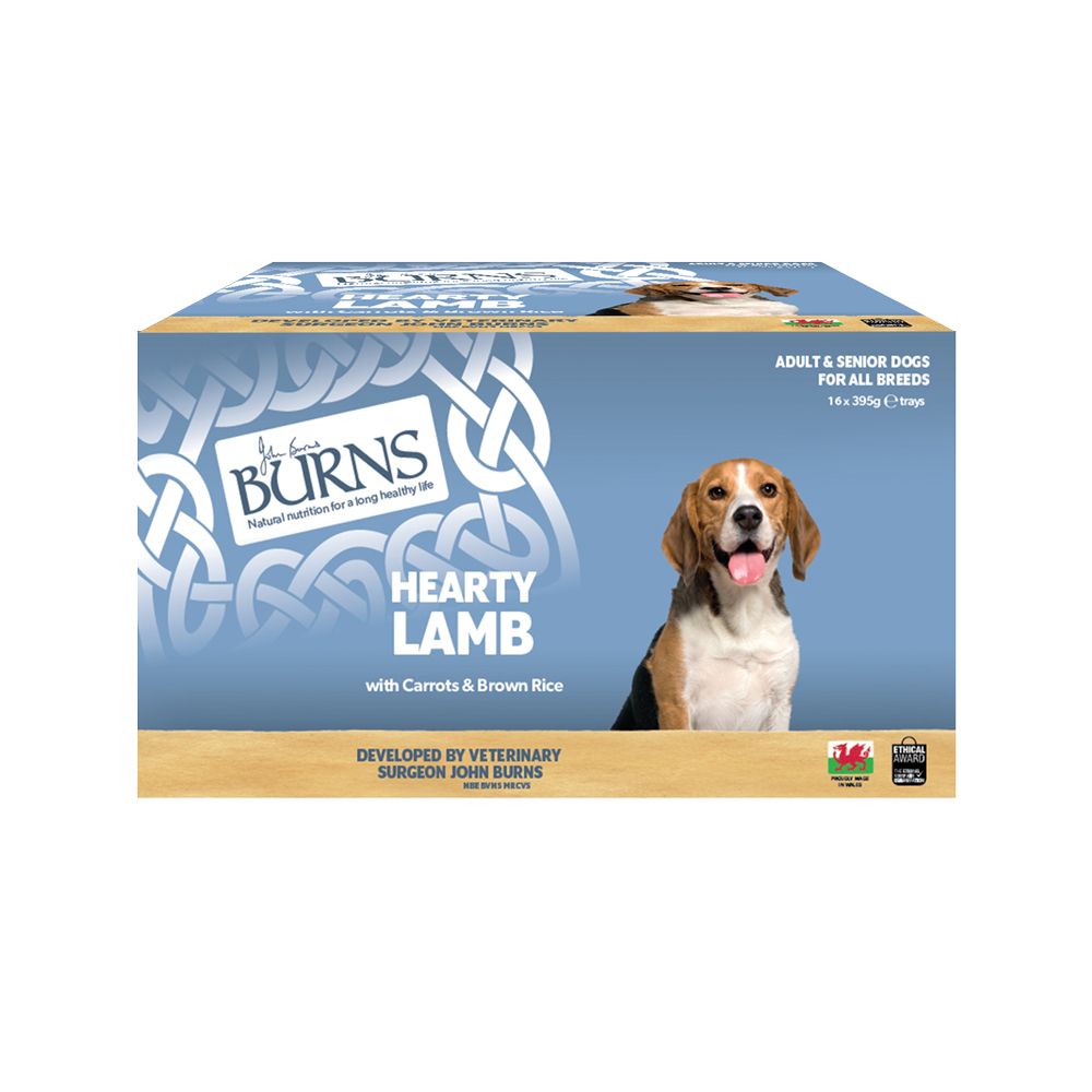 Burns Wet Food for Dogs 16 x 395g Chicken