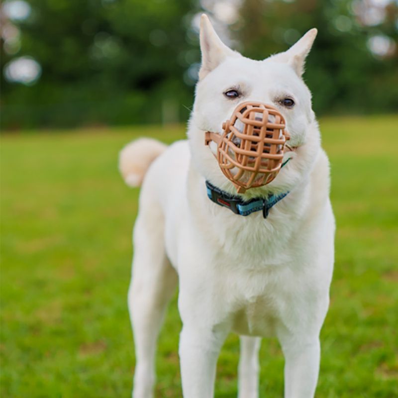 Baskerville Classic Muzzle — Beige Size 5