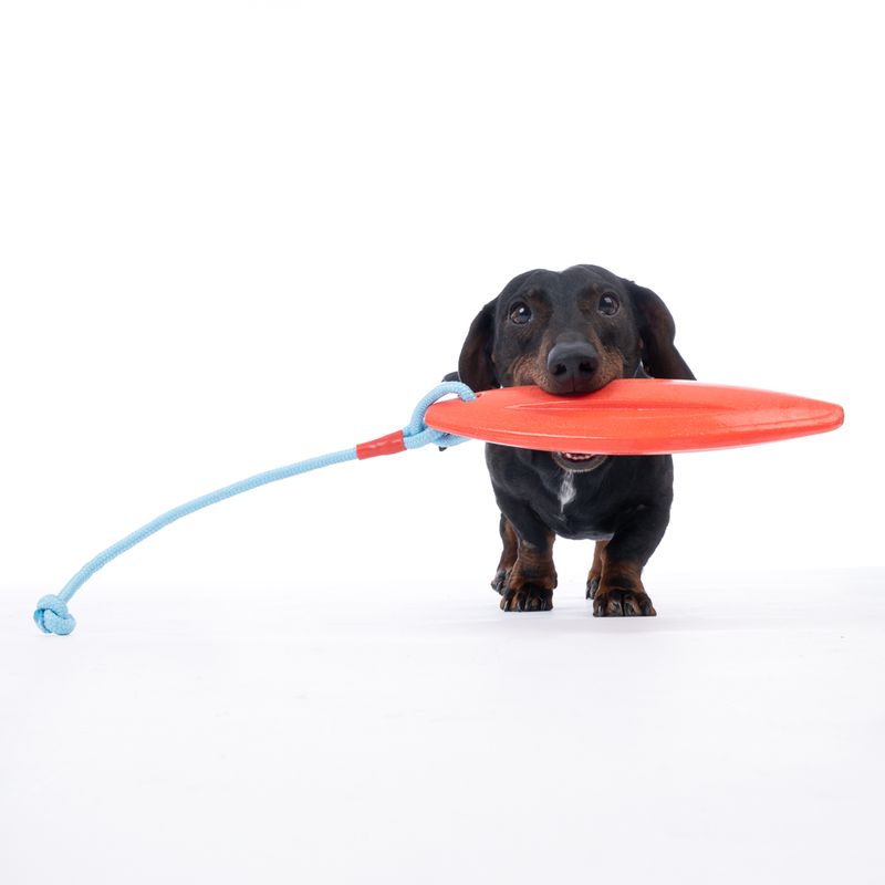 TIAKI Surfboard Dog Toy 55.5 x 10 x 5 cm (L x W x H)