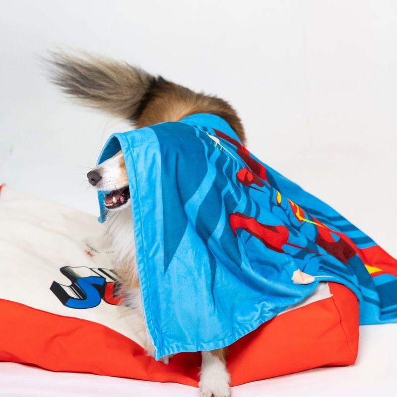 DC Superman Dog Mattress Size S: 80 x 50 x 15 cm (L x W x H)
