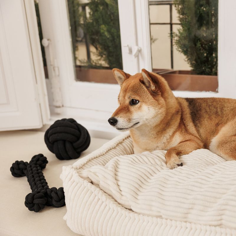 Modern Living Papua Rope Bone 30cm (L)