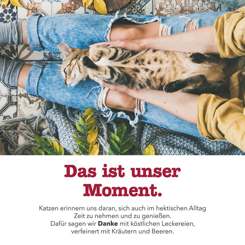 GimCat Crunchy Snacks Duck & Catnip 140g