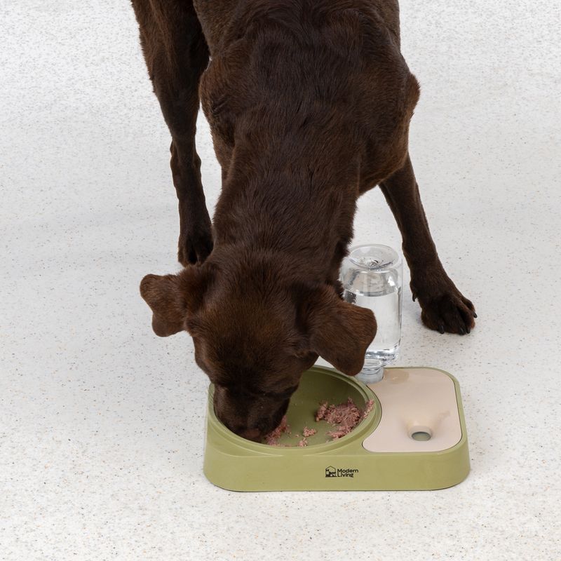 Modern Living SaPa Double Bowl 400ml