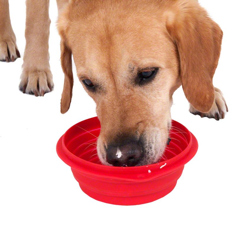 Silicone Travel Bowl 0.5 l