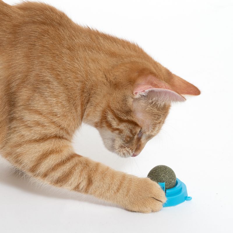 zooplus Basics Catnip Ball Blue