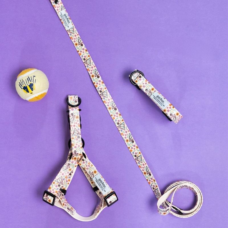 Harry Potter Deathly Hallows Dog Lead 200cm Length, 20mm Width