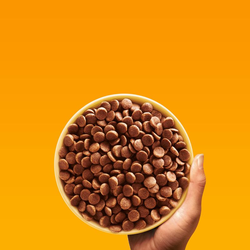 Pedigree Mini with Chicken 2kg