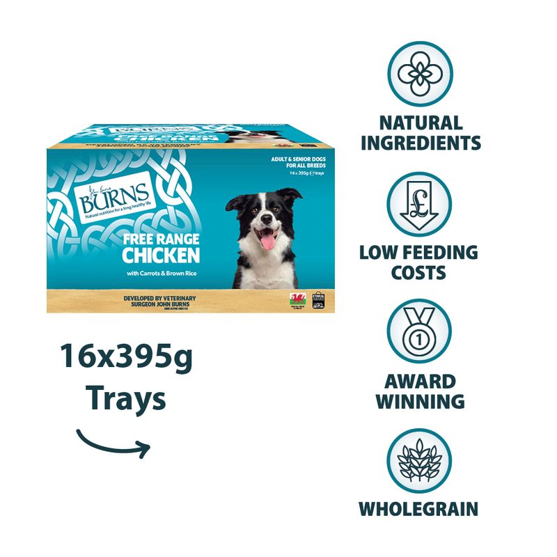 Burns Wet Food for Dogs 16 x 395g Chicken